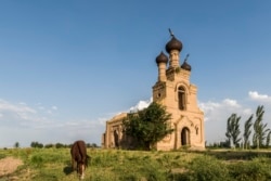 Ескі шіркеу маңында арқандалған жылқы. Дербісек ауылы, 5 маусым 2020 жыл.