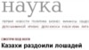 Жылқыны қазақтардың ата-бабасы қолға үйреткендігі туралы ғылыми жаңалық Еуразия тарихына көзқарасты өзгертуі мүмкін